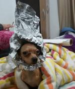 Imagem pessoal