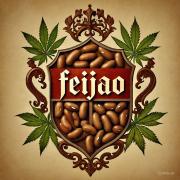 Imagem pessoal