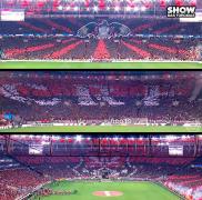 Imagem pessoal