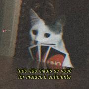 Imagem pessoal
