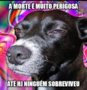 Imagem pessoal